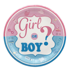 Gender Reveal Pink Blue Birthday Party Paper Plates x 10